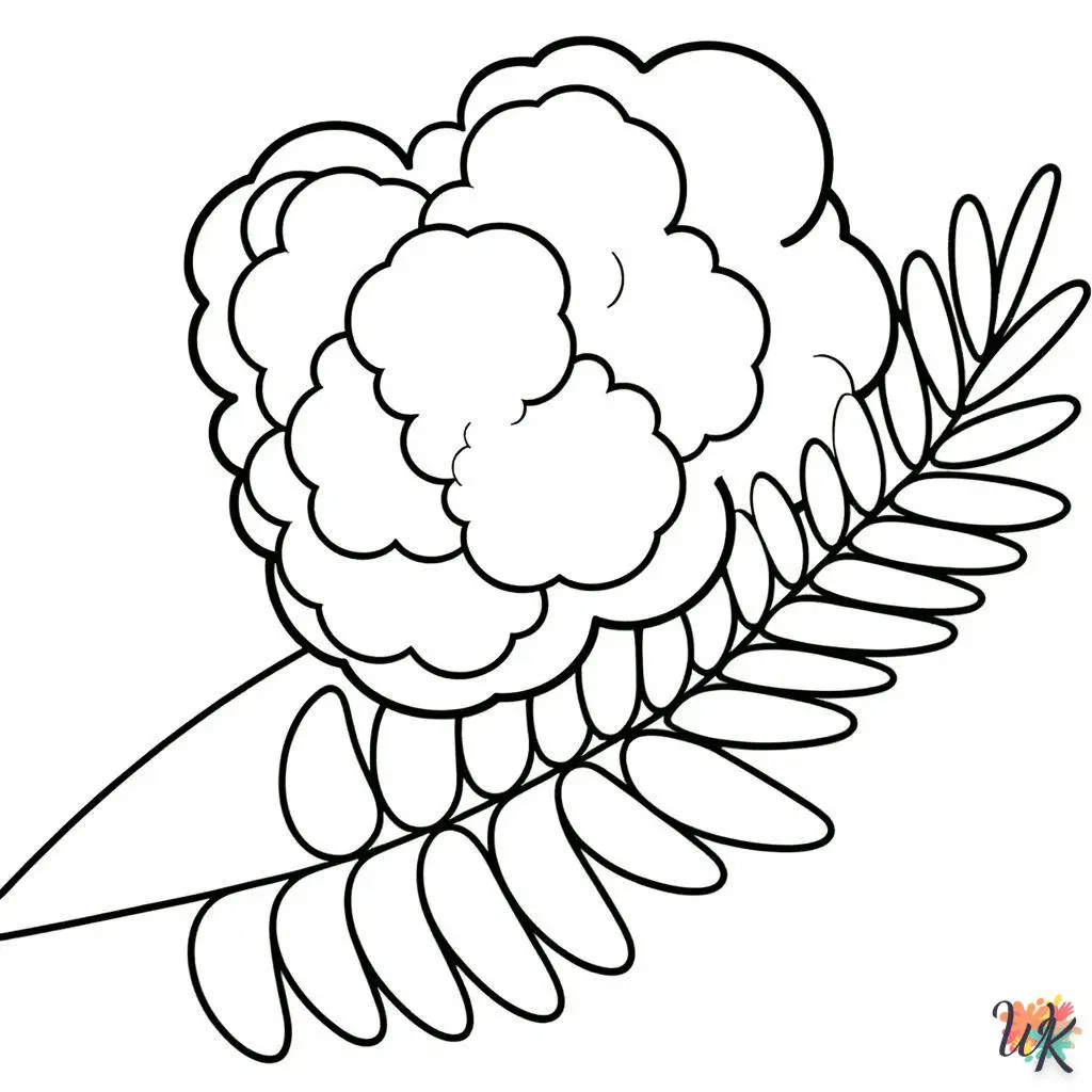 Mimosa 4 Disegni da Colorare Mimosa 2